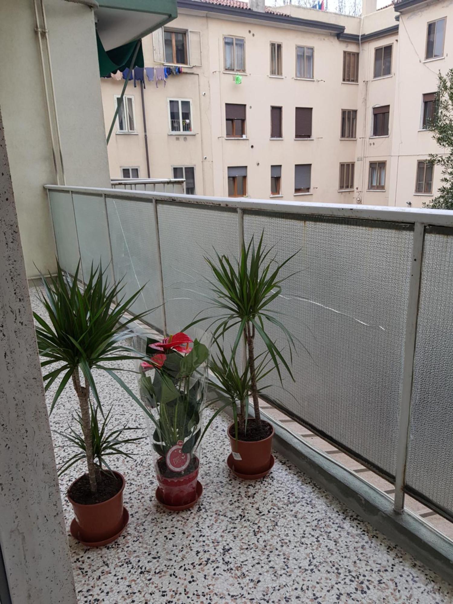 Venice Bnb Mestre Esterno foto
